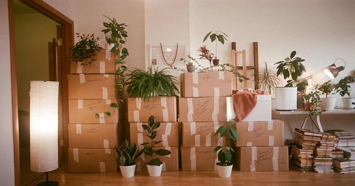 Cardboard shipping boxes packed for a move to the UK